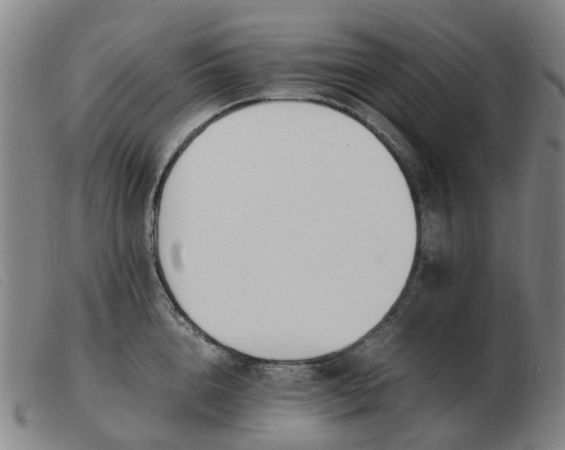 X0000103450856200809191746