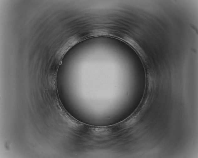 X0000103450857200809191746