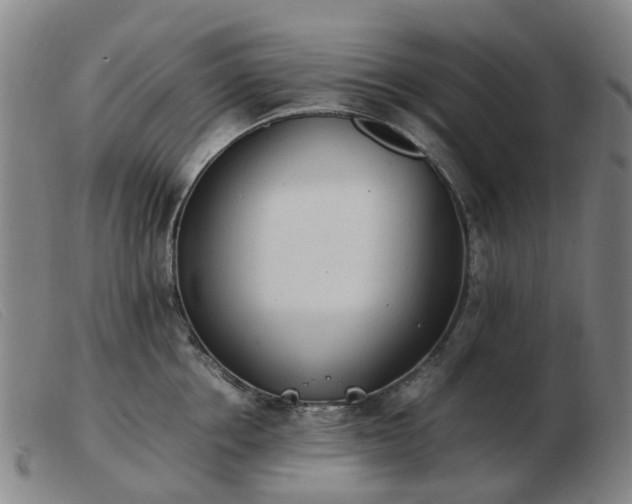 X0000103450858200809191746