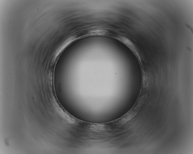 X0000103450859200809191746