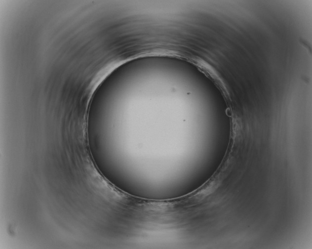 X0000103450860200809191746