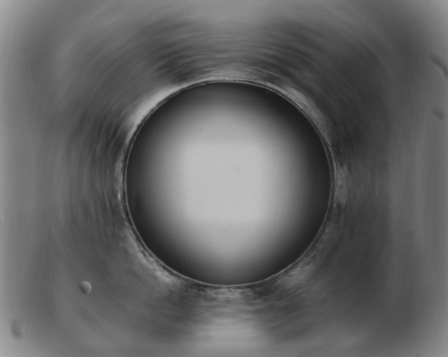 X0000103450862200809191746