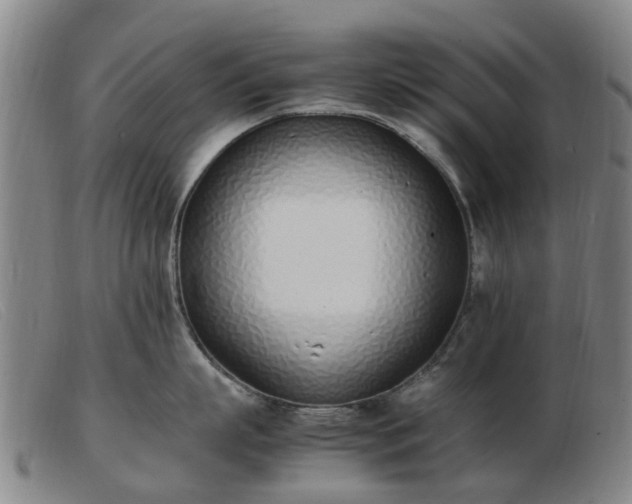 X0000103450863200809191746