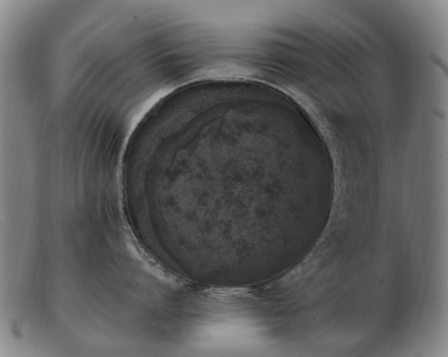 X0000103450864200809191746