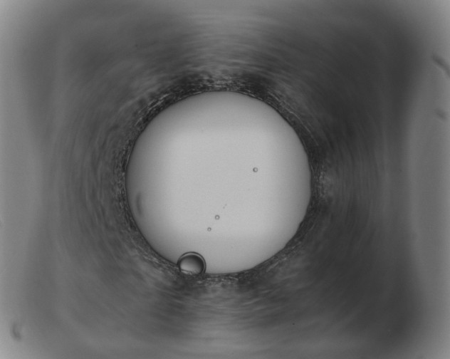 X0000103450865200809191745