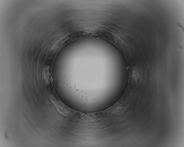 X0000103450868200809191745
