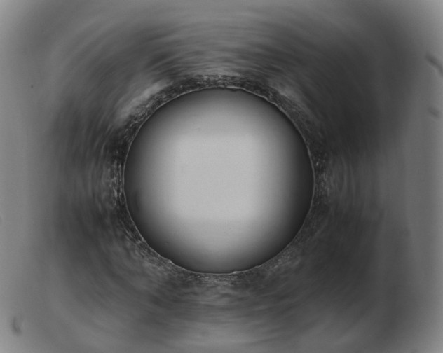 X0000103450870200809191745