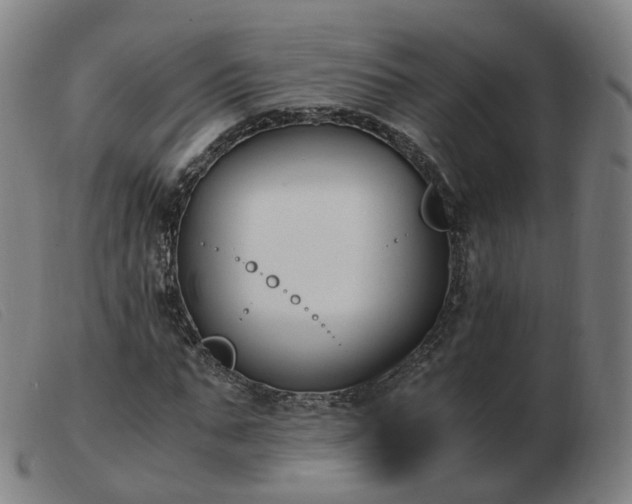 X0000103450871200809191745