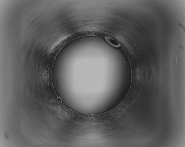 X0000103450872200809191745
