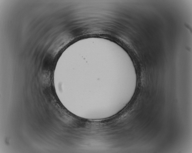 X0000103450873200809191745