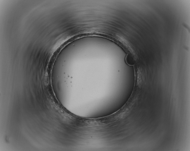 X0000103450876200809191745