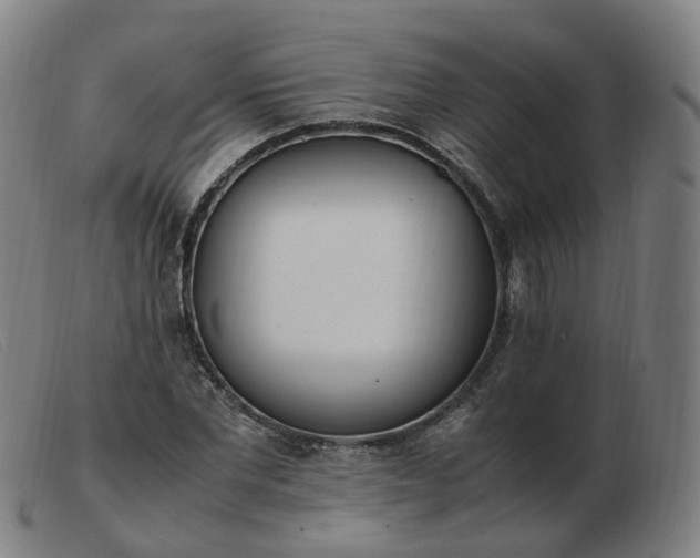 X0000103450877200809191745