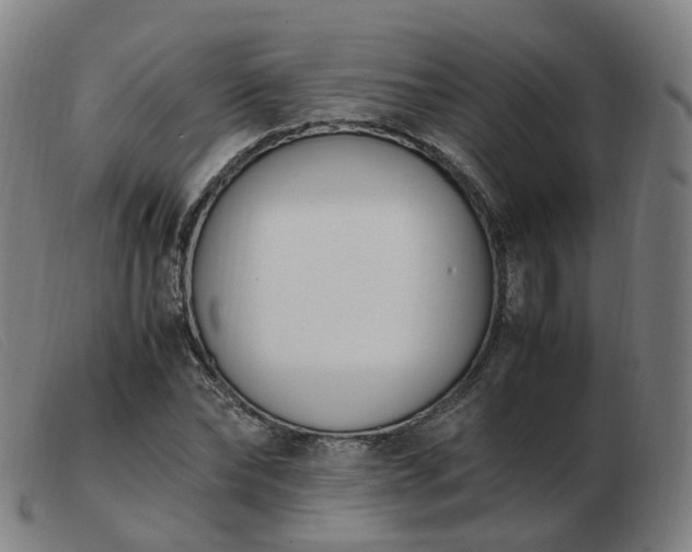 X0000103450878200809191745