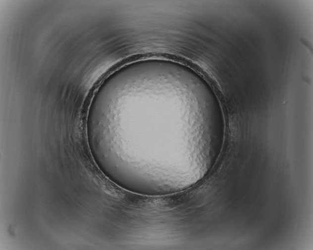 X0000103450879200809191745