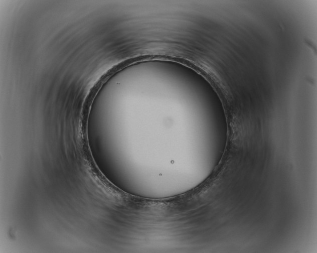 X0000103450880200809191745