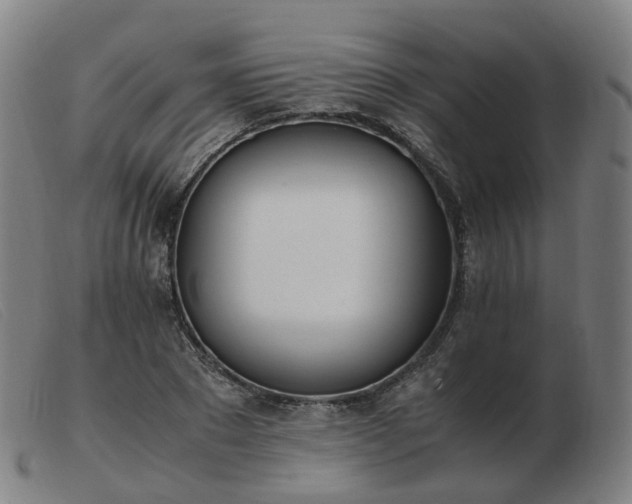 X0000103450881200809191745