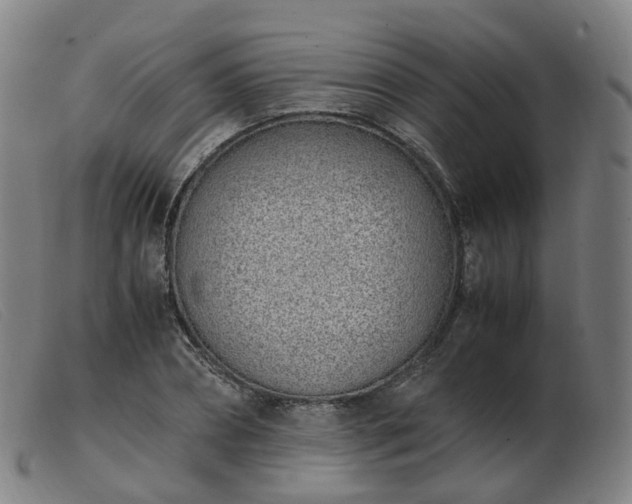 X0000103450882200809191745