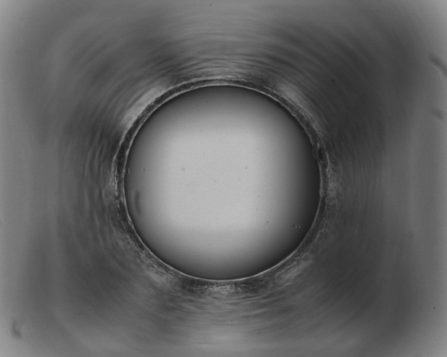 X0000103450883200809191745