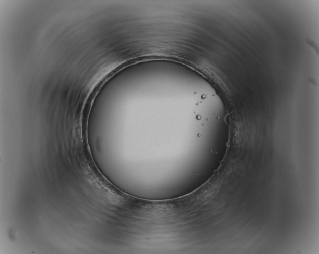 X0000103450884200809191745