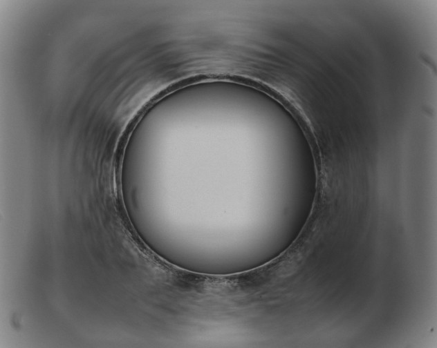 X0000103450887200809191745