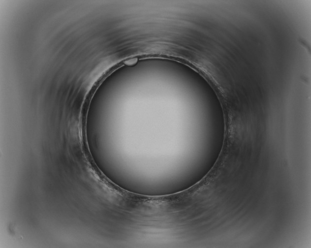 X0000103450888200809191745