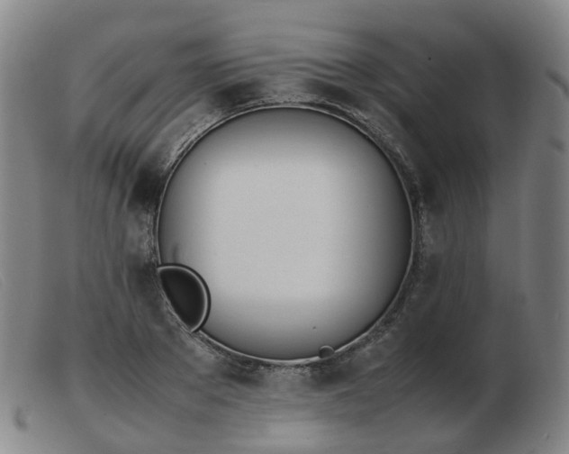 X0000103450889200809191745