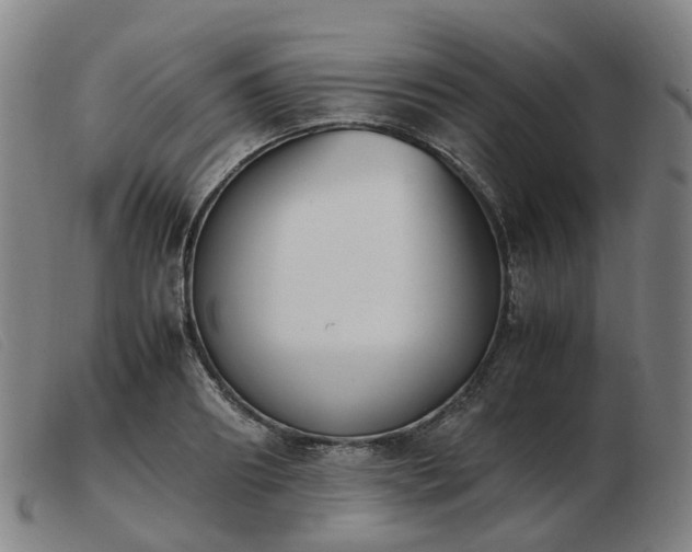 X0000103450890200809191745
