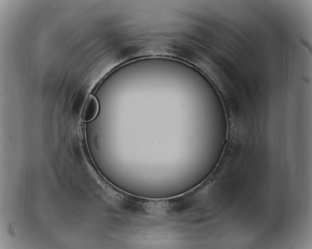 X0000103450893200809191745