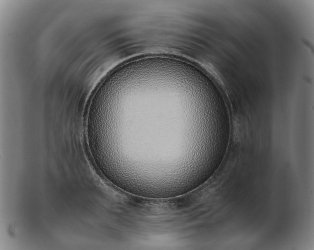 X0000103450895200809191745