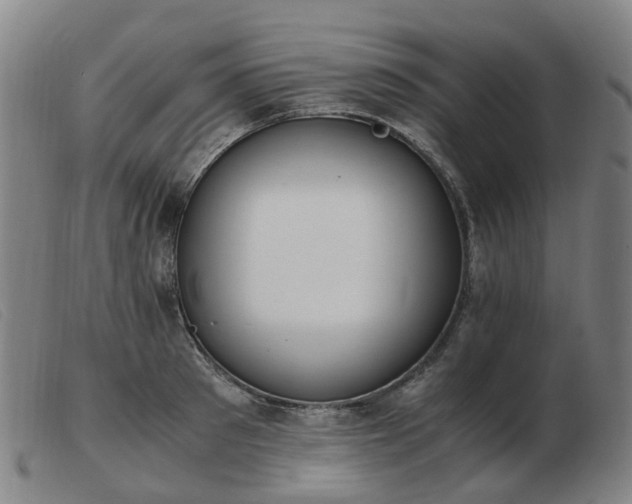 X0000103450897200809191745
