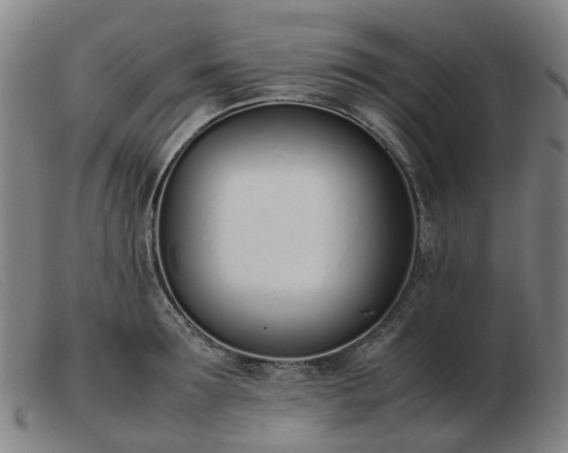 X0000103450899200809191745