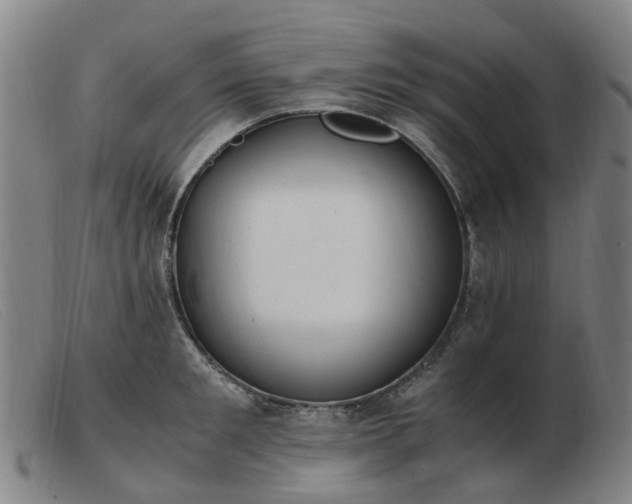 X0000103450901200809191745