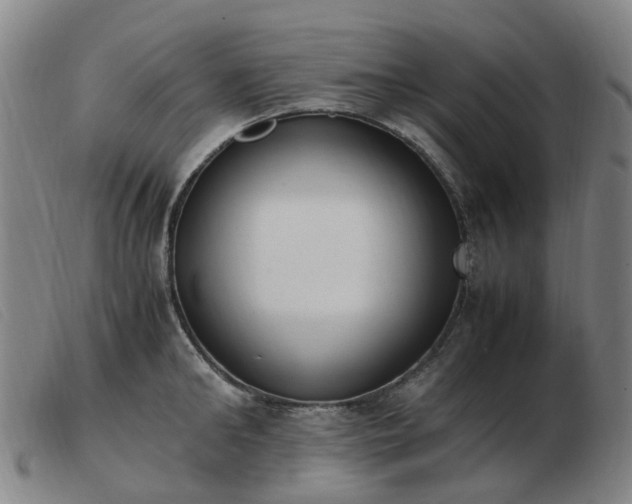 X0000103450902200809191745