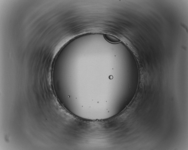 X0000103450904200809191745