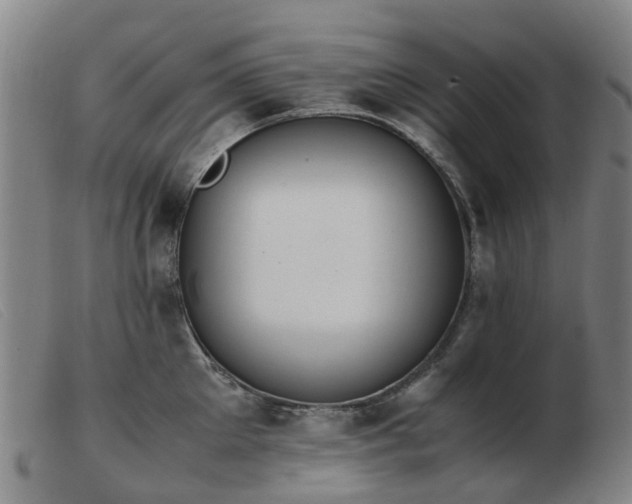 X0000103450905200809191745