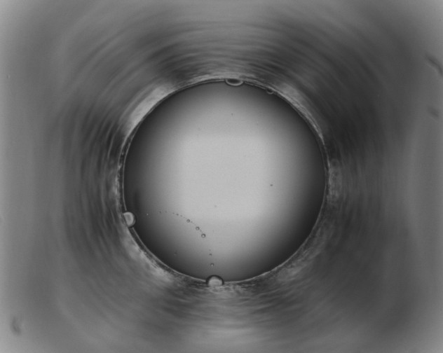 X0000103450906200809191745