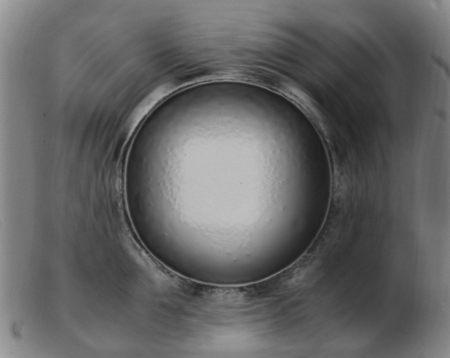 X0000103450907200809191745