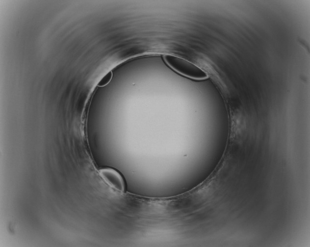 X0000103450908200809191745