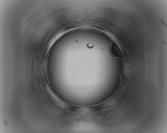 X0000103450911200809191745
