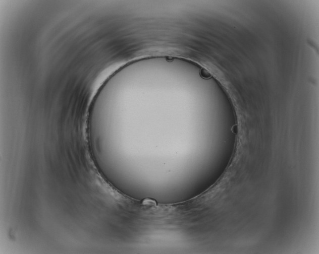 X0000103450912200809191745