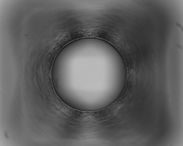 X0000103450913200809191744