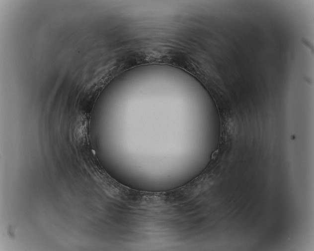 X0000103450914200809191744