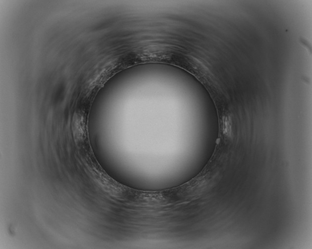 X0000103450915200809191744