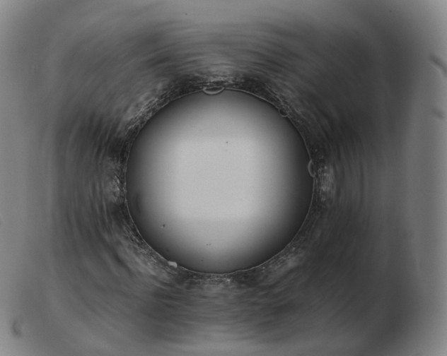 X0000103450916200809191744
