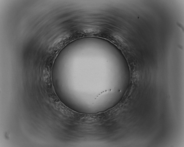 X0000103450917200809191744
