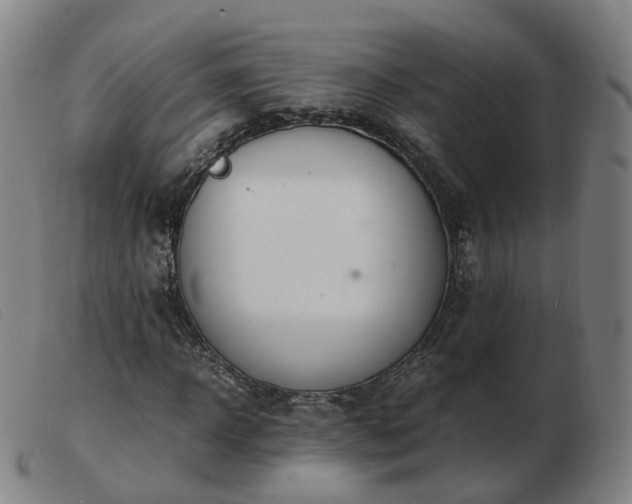 X0000103450918200809191744