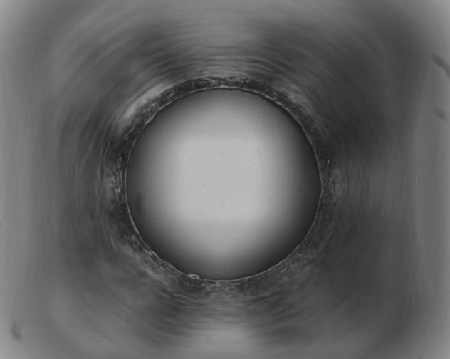 X0000103450920200809191744
