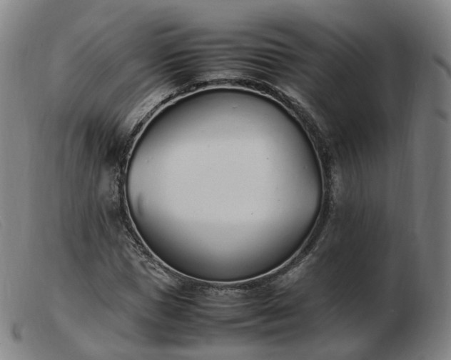 X0000103450921200809191744