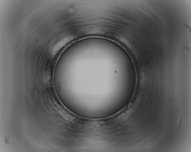 X0000103450922200809191744