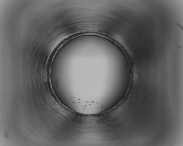 X0000103450924200809191744